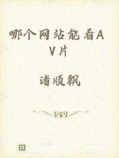 哪个网站能看A V片